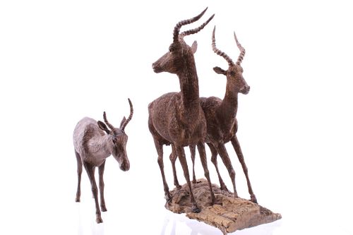 South African Carved Leadwood Impala Collections