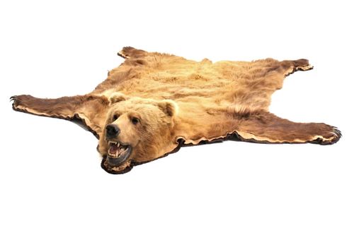 Alaskan Kodiak Brown Bear Trophy Full Rug