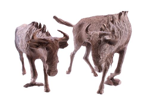 South African Carved Leadwood Wildebeest Pair