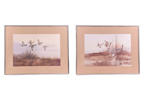 Gregory F. Messier Framed Duck Prints