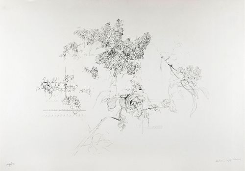 ANTONIO LÓPEZ GARCÍA (Tomelloso, Ciudad Real, 1936).
Quinces and Rose, from the Olympic Centennial Suite.
Lithograph on 270g Vélin d’Arches paper, 109
