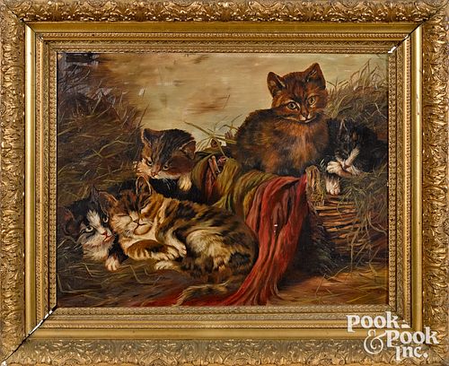American oil on board of five cats, late 19th c.