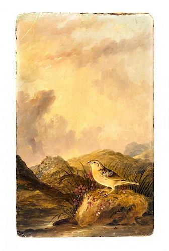 Attributed to Joseph Bartholomew Kidd, Yellow Winged Sparrow. Oil painting after the eng. by John James Audubon.