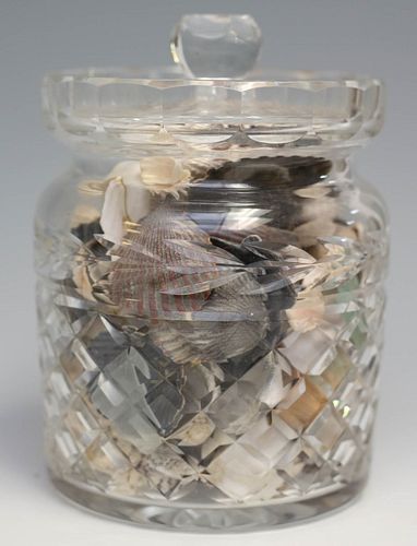 Waterford Jar of Shells