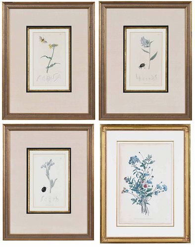 Four Botanical Prints, One Pr‚vost