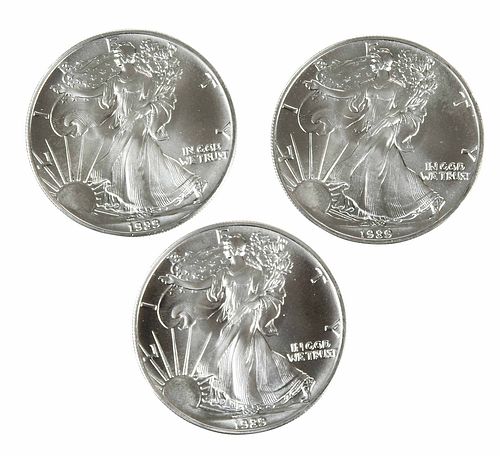 Roll of 1989 American Silver Eagles 