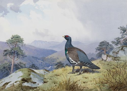 John Cyril Harrison (1898–1985) — Black Cock; Eagle in Flight; Lesser Bustards; Secretary Birds at Zimbabwe Ruins