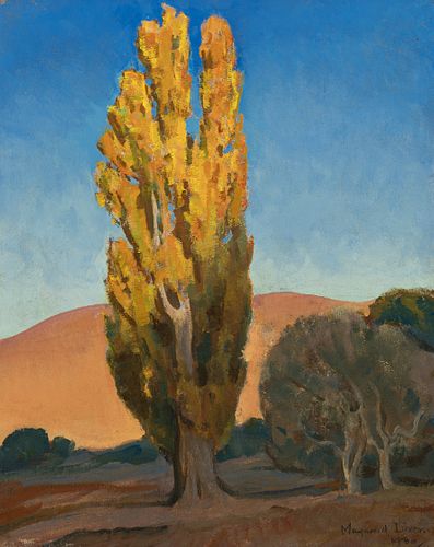 Maynard Dixon (1875–1946) — Shifting Light on a Poplar (1930)