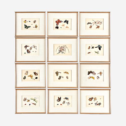 A Suite of Twelve Framed Chinese Export Paintings Sunqua (Chinese, active 1830-1870), Qing Dynasty