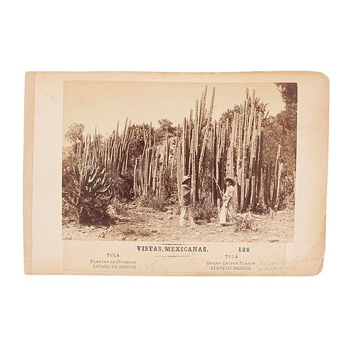 Briquet, Abel. Vistas Mexicanas. Tula. Fines del Siglo XIX. Fotografía álbumina.
