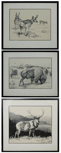 Howard L Munns (1911-2002, Montana), "Three Pronghorn Antelope," "Grazing Buffalo," and "The Majestic Elk," 20th c., three charcoal and ink on paper, 