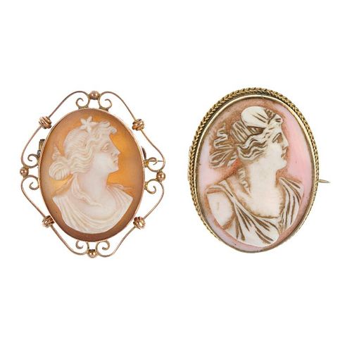 Two cameos. The first of oval outline with rope-twist border to the carved pink shell portrait, toge