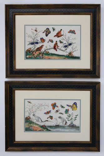 Pair of Chinese Export Watercolors on Pith Paper "Birds and Butterflies Amongst Foliage", circa 1850