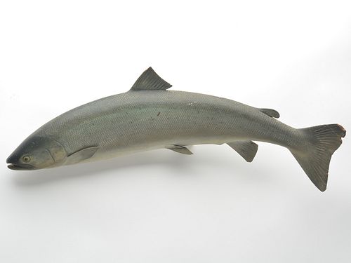 Unique leaping Atlantic salmon or steelhead, unknown carver, 1st quarter 20th century.