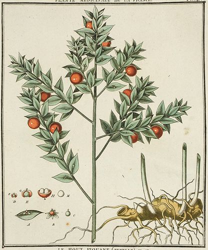 Bulliard, Pierre (Jean Baptiste François) "Sammlung von 85 in Farben gedruckten Kupfertafeln mit Kopftitel ""Plante medicinale de la France"" aus: Her