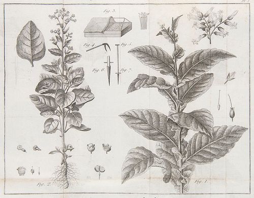 Villeneuve, (de) Traité complet de la Culture, Fabrication et Vente du Tabac. Mit 6 gest. Faltkupfern. Paris, Buisson, 1791. 4 Bll., XVI, 456 S., 1 Bl