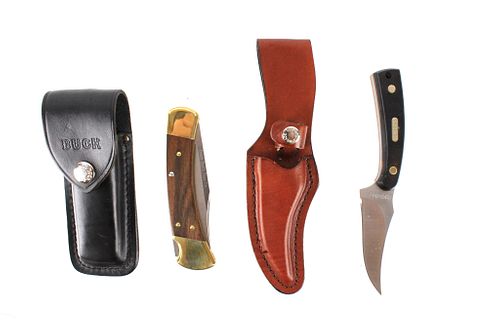 Buck 110 Folding Knife & Schrade "Oldtimer" Knife