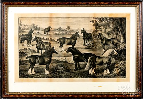 Canadian horse lithograph, after Frederick Brigden