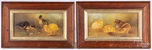 Pair of English oil on canvas chick scenes