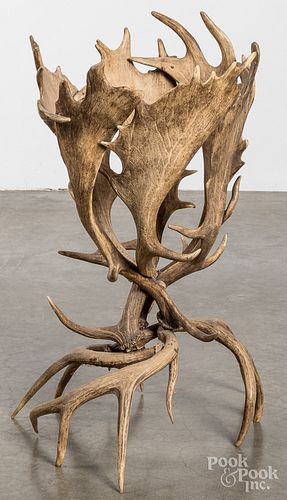 Antler plant stand