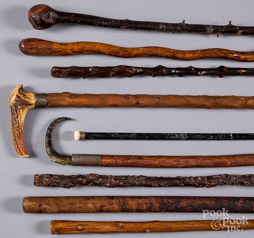 Collection of nine walking sticks, 19th c.