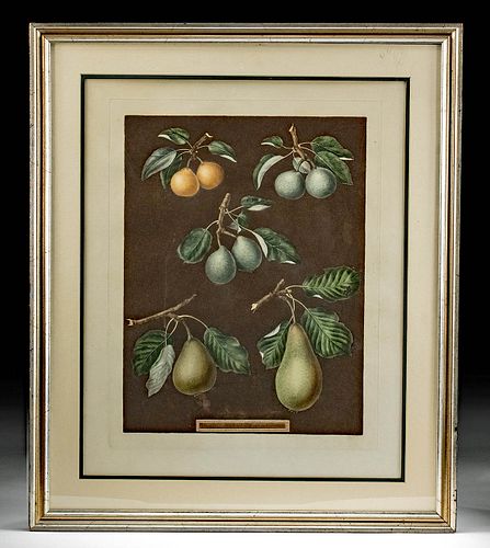 1812 Brookshaw Aquatint of Pears, Plate 76