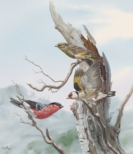 Don Balke (B. 1933) "Finch's" Watercolor