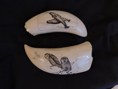 2 WHALE TEETH - OWLS & NARWHALS