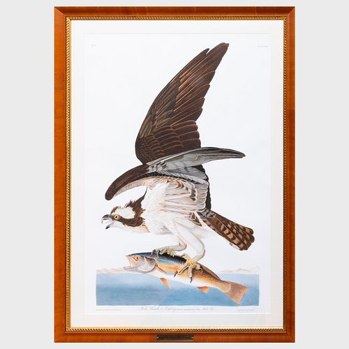 After John James Audubon (1785-1851): Fish Hawk or Ospry sold at auction on  5th August