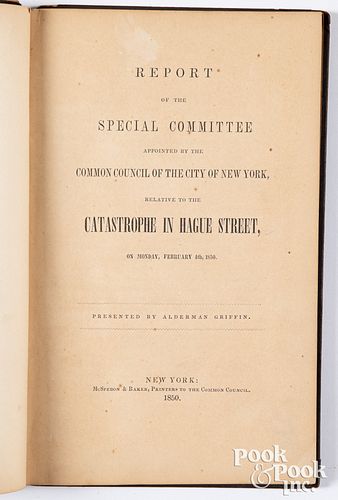 Report of the Special Committee... NY, 1850