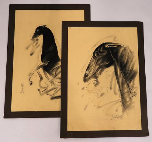 PR Sunil Das Horse Charcoal Drawings