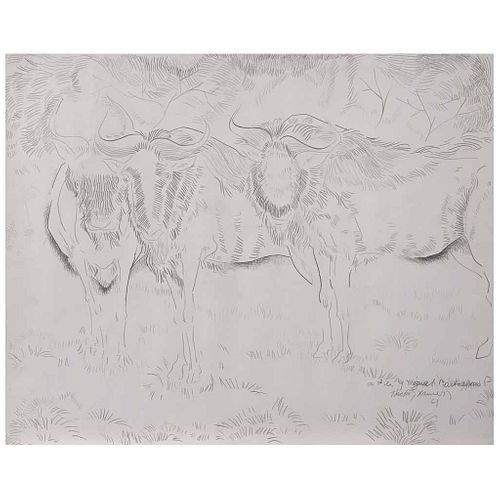 HÉCTOR XAVIER, Bisontes, Firmada y fechada 61, Punta de plata sobre papel, 40.4 x 51 cm