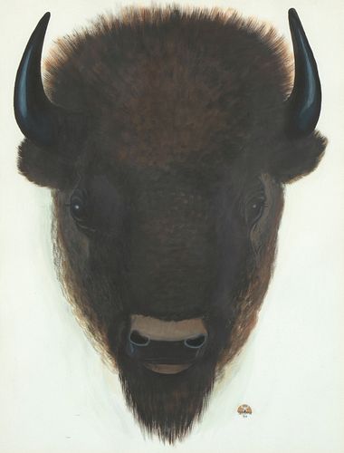 Quincy Tahoma, Untitled (Buffalo Head), 1950