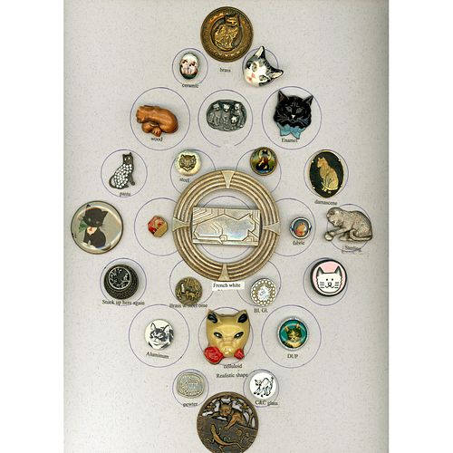 A CARD OF DIV 1 & 3 ASSORTED MATERIAL CAT BUTTONS