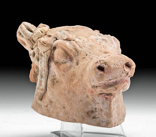 Hellenistic Greek Polychrome Head of Bull