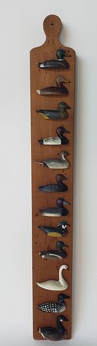 Hand Carved and Painted Waterfowl Duck Species Plaque