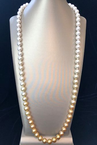 Fine 10mm - 12mm Golden and White South Sea Pearl Ombre Necklace