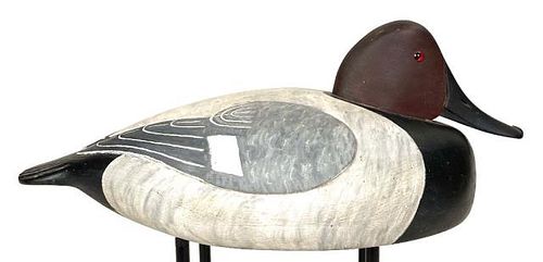 Pair of Tucked Head Canvasback by Alberto Williams