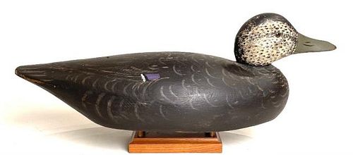 Black Duck By Crowell