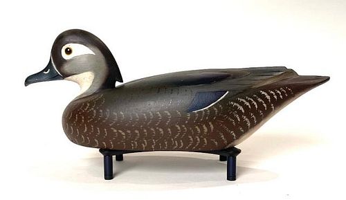 Wood Duck Hen by Davey Nichol