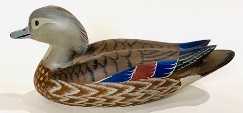 Wood Duck Hen by Paul Arness