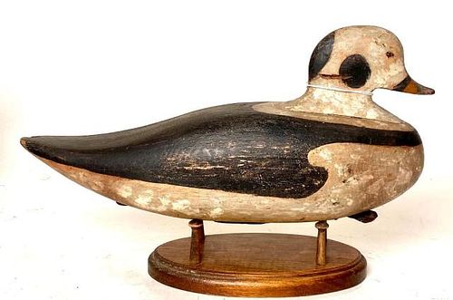 Old Squaw Decoy from Maine