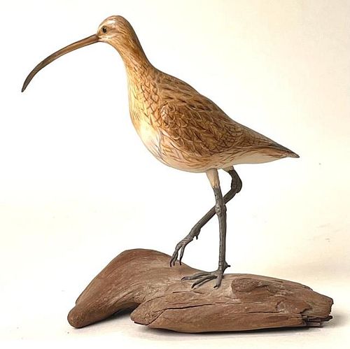 Miniature Long Billed Curlew by Steven A Weaver
