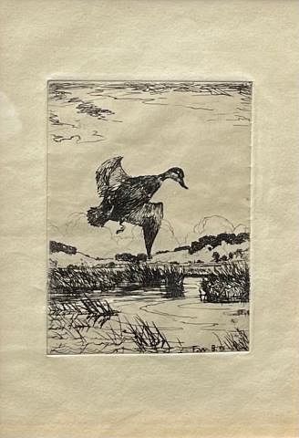 Etching by Frank Benson- Black Duck