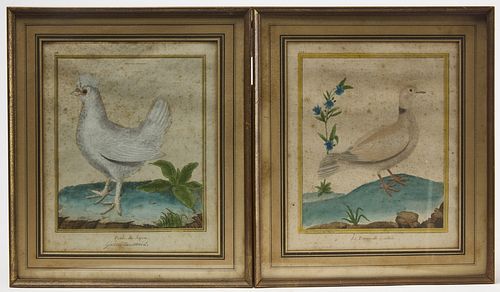 Two Early Hand Colored Bird Prints - Martinet