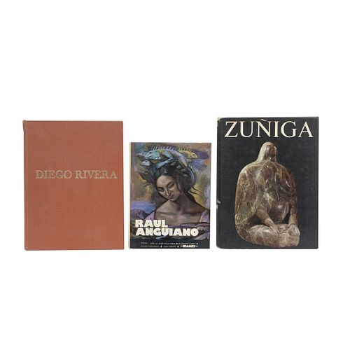 Libros sobre Zuñiga, Raúl Anguiano y Diego Rivera. Piezas: 3.