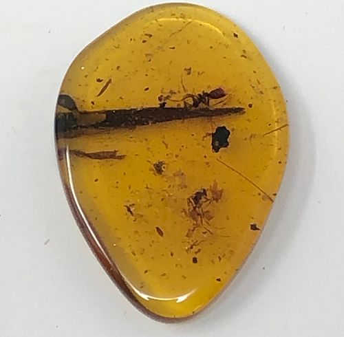 Medium sized  water bubble amber pendant   /  MYANMAR