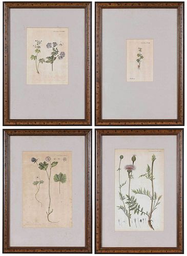 Four Framed Flora Danica Prints 