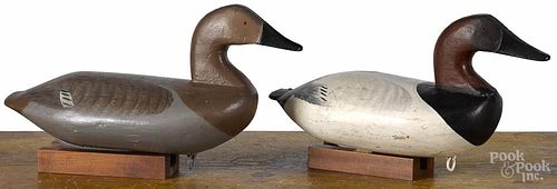 Attributed to Charles Barnard, pair of carved and painted canvasback duck decoys, mid 20th c.