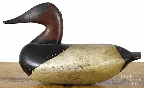 Chesapeake Bay carved and painted canvasback duck decoy, early/mid 20th c., 13 1/2'' l.